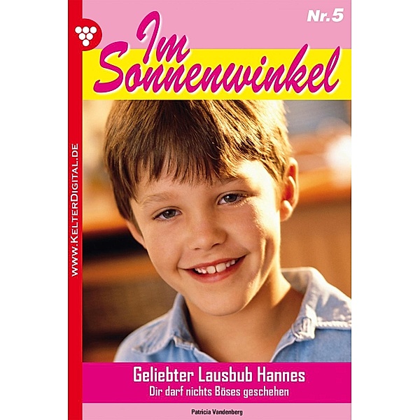 Im Sonnenwinkel Band 5: Geliebter Lausbub Hannes, Patricia Vandenberg