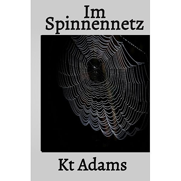 Im Spinnennetz, Katie Adams