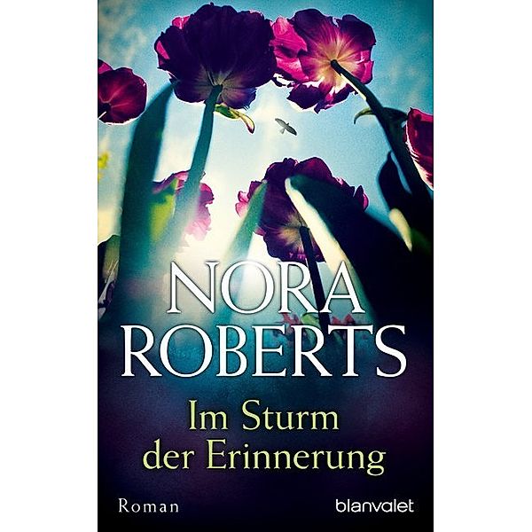 Im Sturm der Erinnerung, Nora Roberts