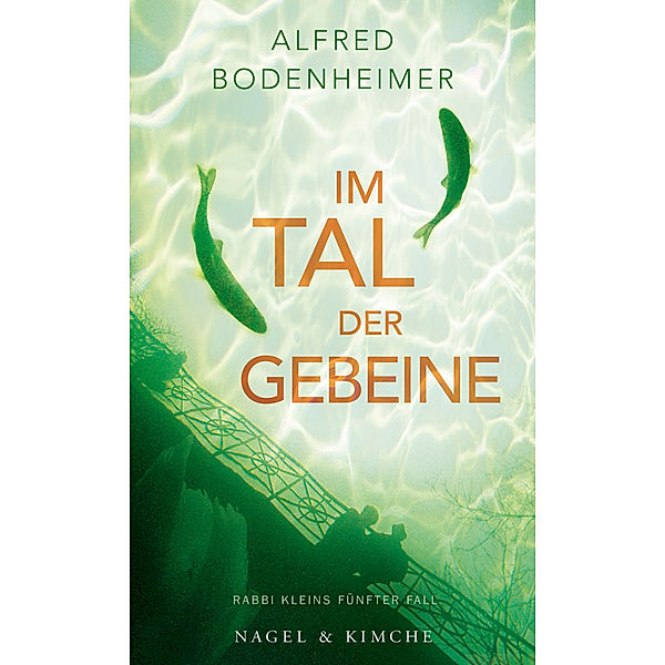 Im Tal der Gebeine / Rabbi Klein Bd.5, Alfred Bodenheimer