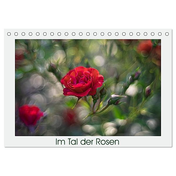 Im Tal der Rosen (Tischkalender 2025 DIN A5 quer), CALVENDO Monatskalender, Calvendo, Monika Scheurer