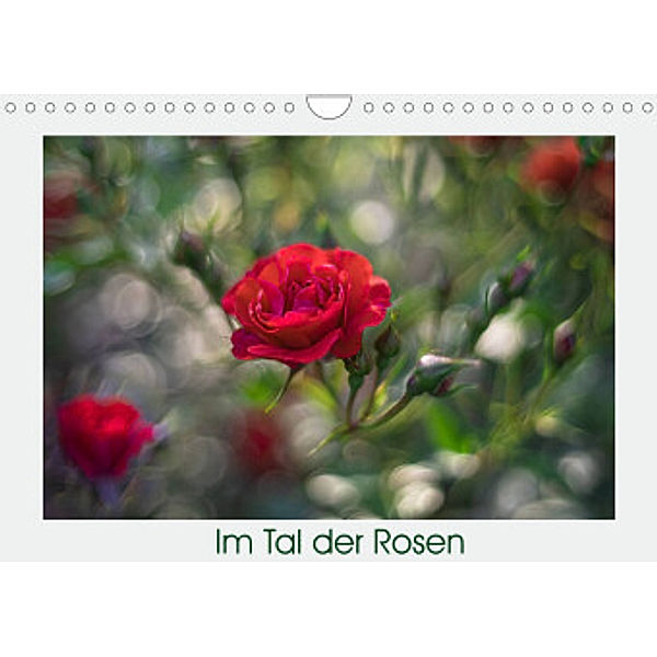 Im Tal der Rosen (Wandkalender 2022 DIN A4 quer), Monika Scheurer