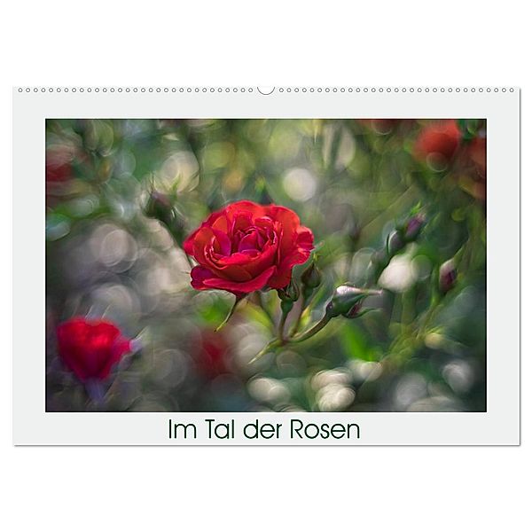 Im Tal der Rosen (Wandkalender 2024 DIN A2 quer), CALVENDO Monatskalender, Monika Scheurer