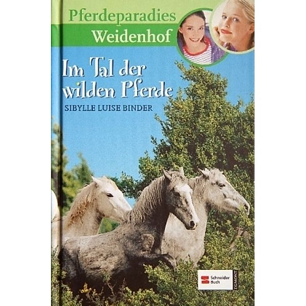 Im Tal der wilden Pferde / Pferdeparadies Weidenhof Bd.7, Sibylle L. Binder