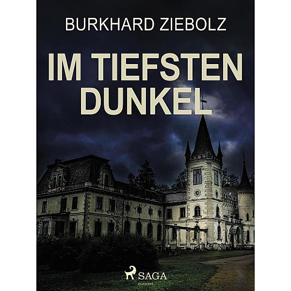 Im tiefsten Dunkel - Kriminalroman, Burkhard Ziebolz