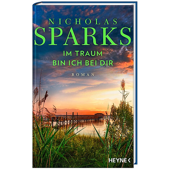 Im Traum bin ich bei dir, Nicholas Sparks