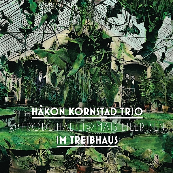 Im Treibhaus, Håkon Kornstad Trio