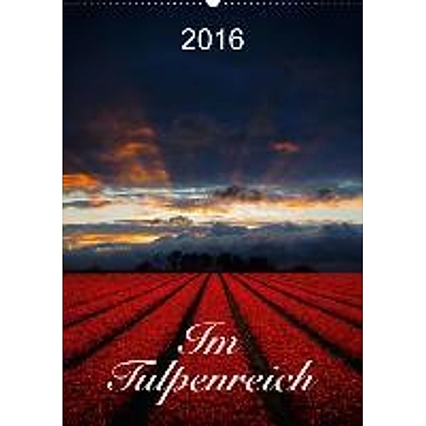 Im Tulpenreich (Wandkalender 2016 DIN A2 hoch), Lucyna Koch