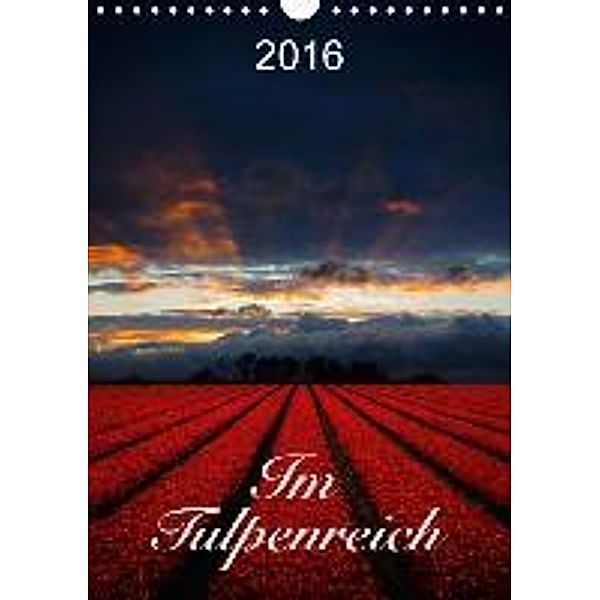 Im Tulpenreich (Wandkalender 2016 DIN A4 hoch), Lucyna Koch