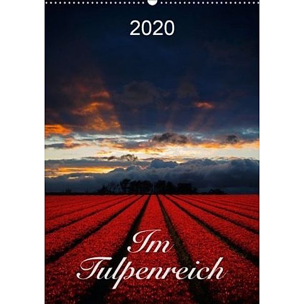 Im Tulpenreich (Wandkalender 2020 DIN A2 hoch), Lucyna Koch