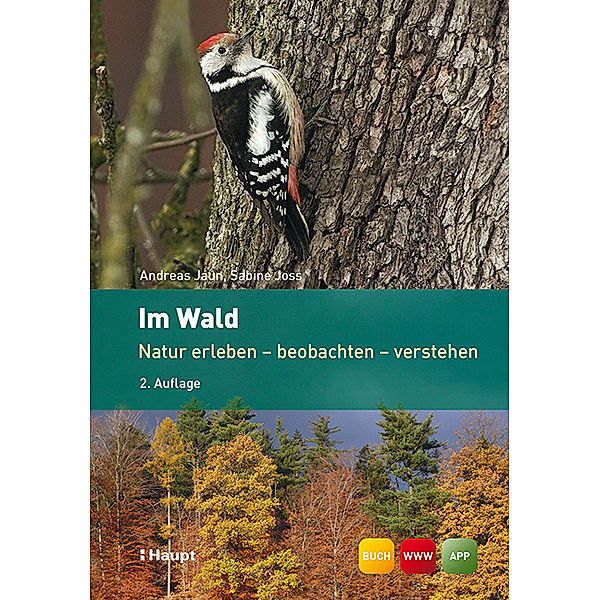 Im Wald, Andreas Jaun, Sabine Joss