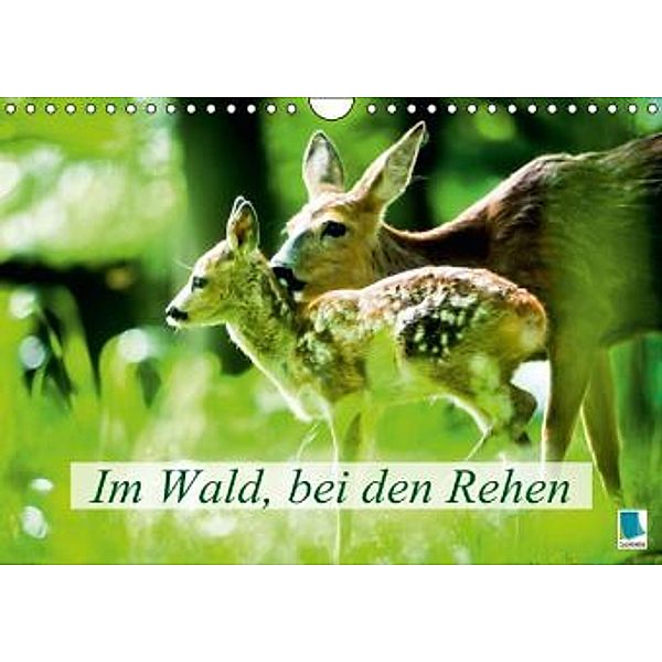 Im Wald, bei den Rehen (Wandkalender 2015 DIN A4 quer), Calvendo