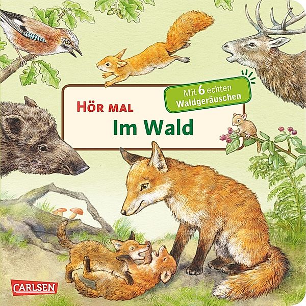 Im Wald / Hör mal Bd.9, Anne Möller