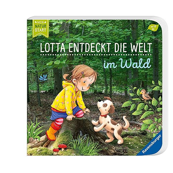 Im Wald / Lotta entdeckt die Welt Bd.1, Sandra Grimm