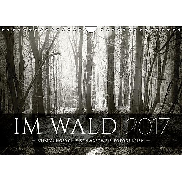 IM WALD - Stimmungsvolle Schwarzweiß-Fotografien (Wandkalender 2017 DIN A4 quer), Dorit Fuhg