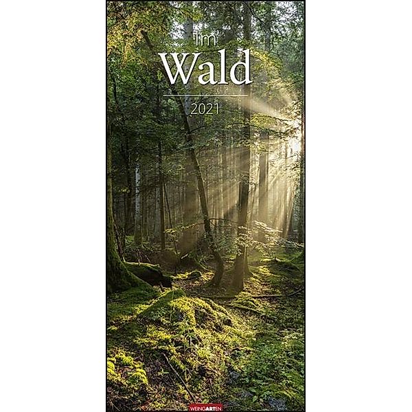 Im Wald XL 2021