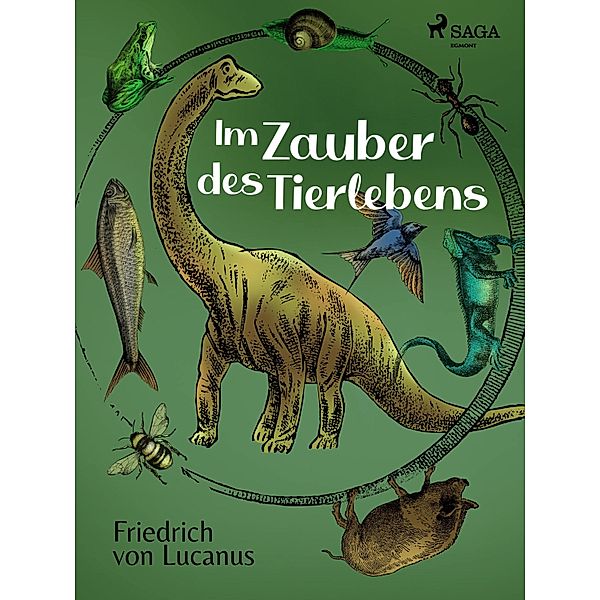 Im Zauber des Tierlebens, Friedrich von Lucanus