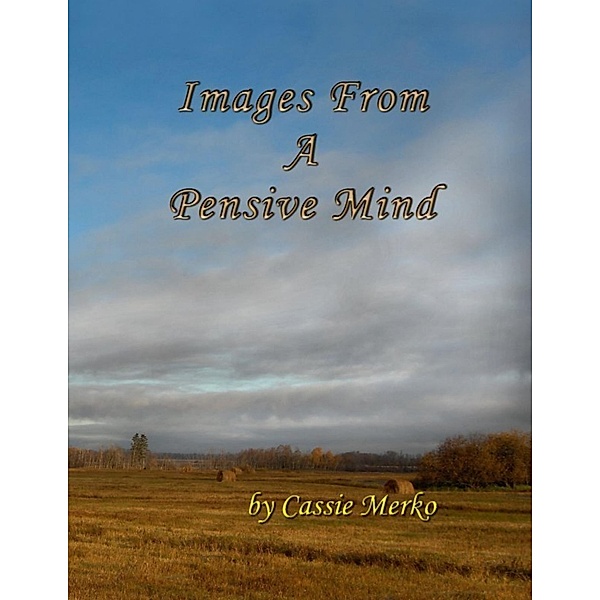 Images from a Pensive Mind, Cassie Merko