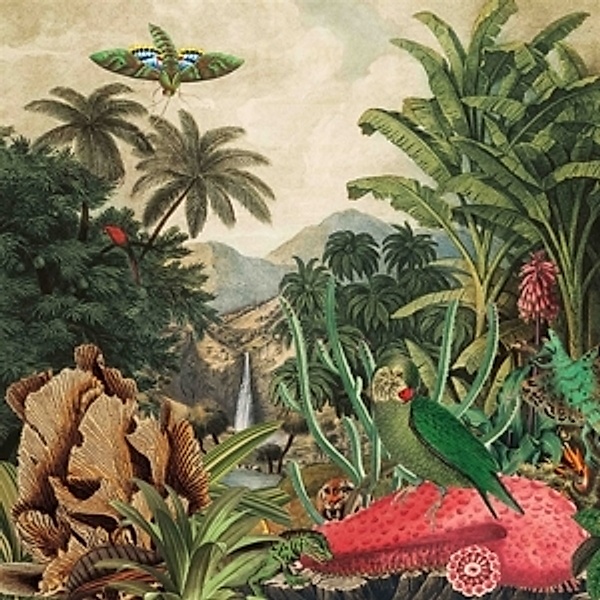 Imaginary Island Music Vol.1: Canary Islands (Vinyl), Lagoss