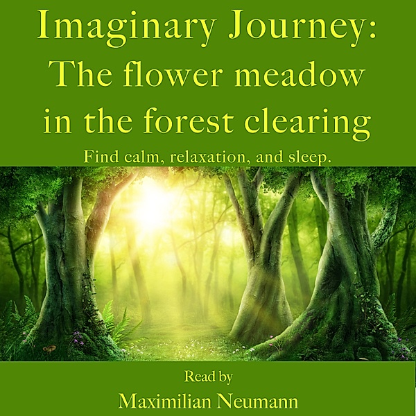 Imaginary Journey: The flower meadow in the forest clearing, Maximilian Neumann