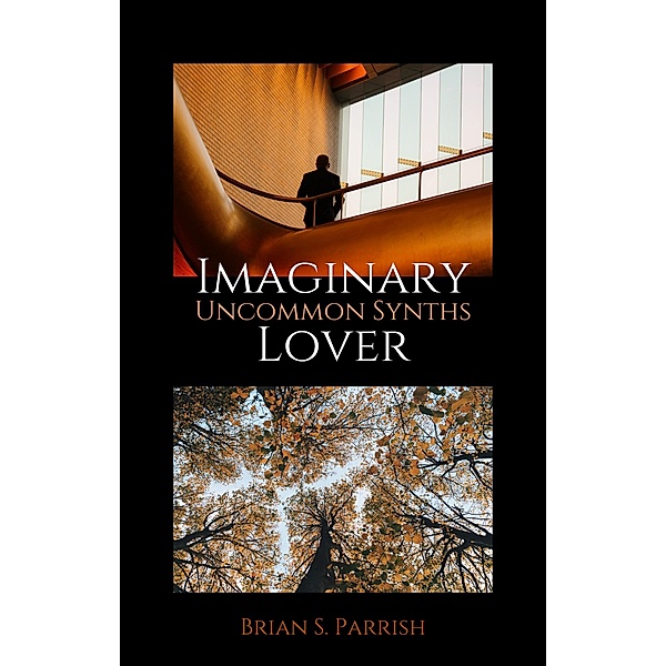 Imaginary Lover: Uncommon Synths, Brian S. Parrish