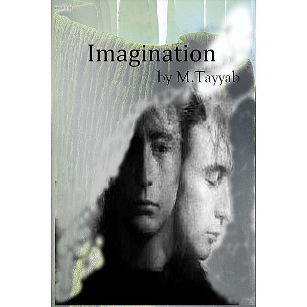 Imagination, M. Tayyab
