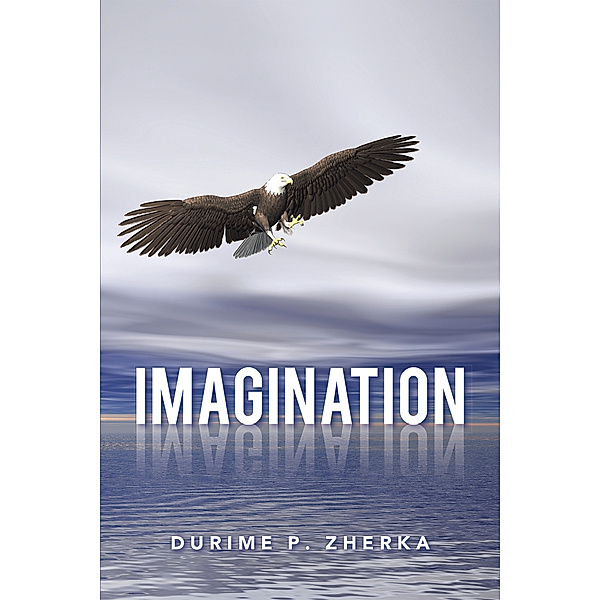 Imagination, Durime P. Zherka