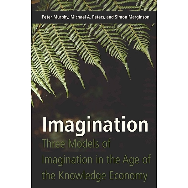 Imagination, Peter Murphy, Michael Adrian Peters, Simon Marginson