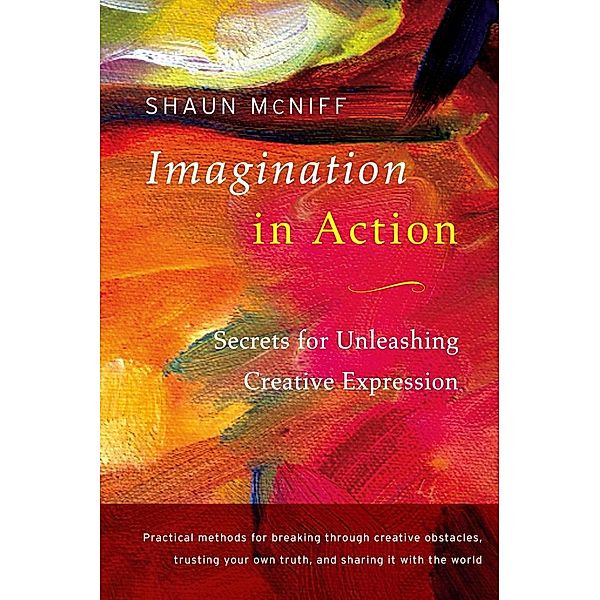 Imagination in Action, Shaun Mcniff