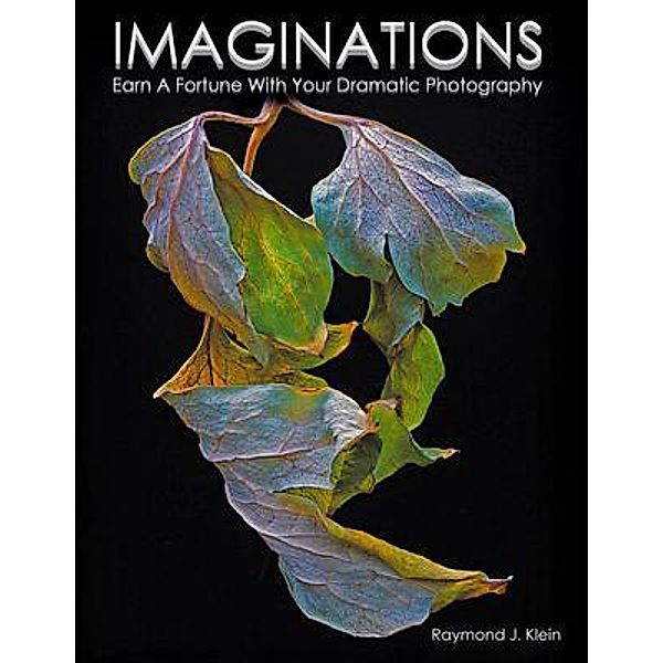 Imaginations / PageTurner Press and Media, Raymond Klein