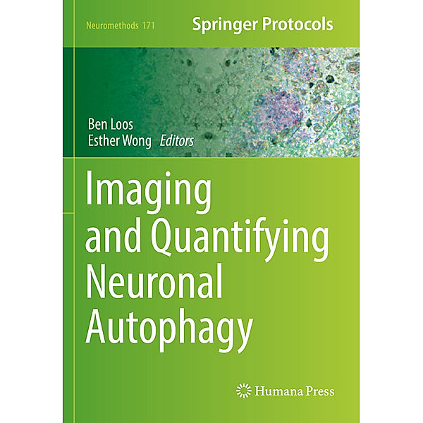 Imaging and Quantifying Neuronal Autophagy