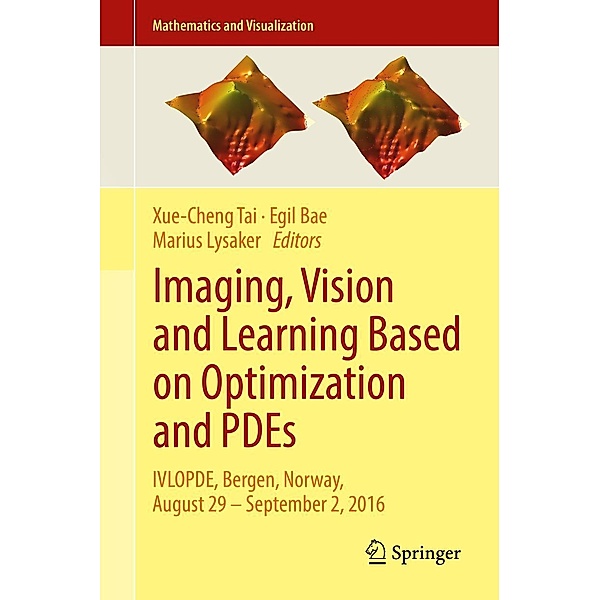 Imaging, Vision and Learning Based on Optimization and PDEs / Mathematics and Visualization