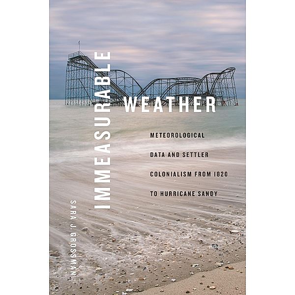 Immeasurable Weather, Grossman Sara J. Grossman