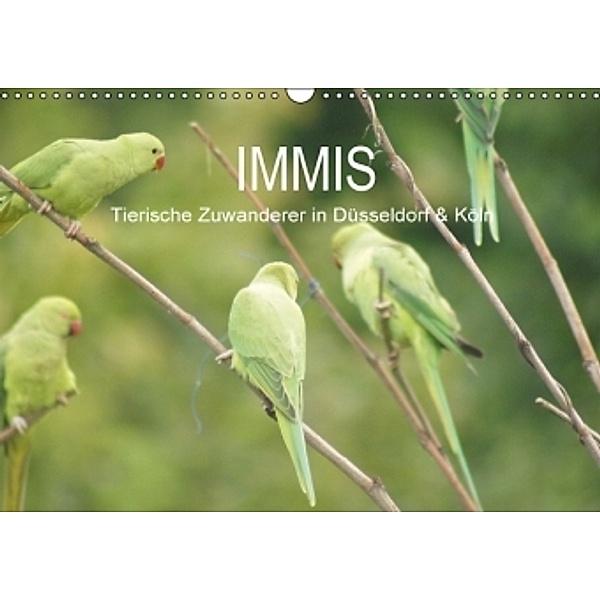 IMMIS - Tierische Zuwanderer in Köln & Düsseldorf (Wandkalender 2015 DIN A3 quer), Matthias Hoelkeskamp