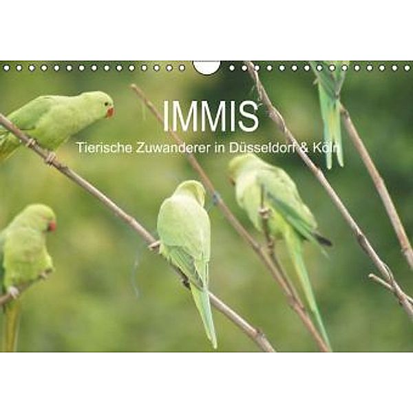 IMMIS - Tierische Zuwanderer in Köln & Düsseldorf (Wandkalender 2015 DIN A4 quer), Matthias Hoelkeskamp