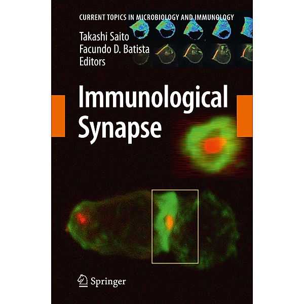 Immunological Synapse