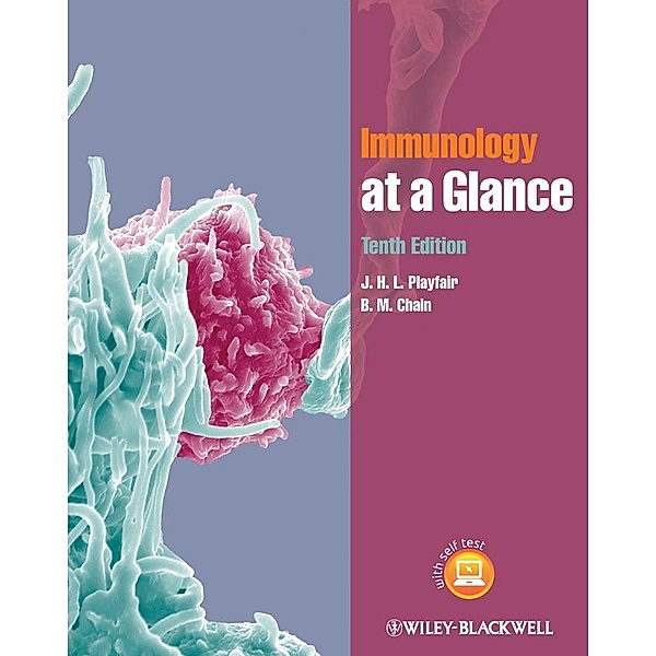 Immunology at a Glance / At a Glance, J. H. L. Playfair, B. M. Chain