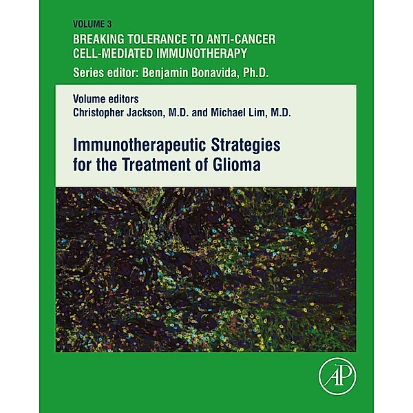 Immunotherapeutic Strategies for the Treatment of Glioma