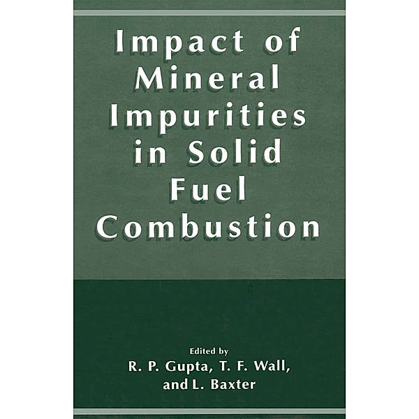 Impact of Mineral Impurities in Solid Fuel Combustion