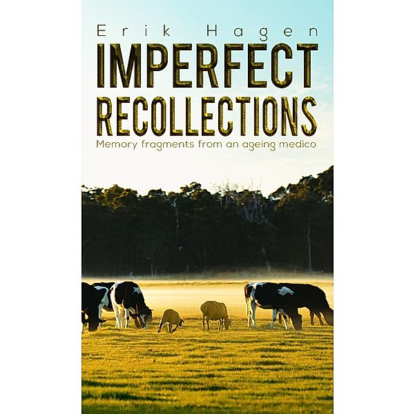 Imperfect Recollections / Austin Macauley Publishers Ltd, Erik Hagen