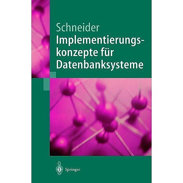 Implementierungskonzepte für Datenbanksysteme, Markus Schneider