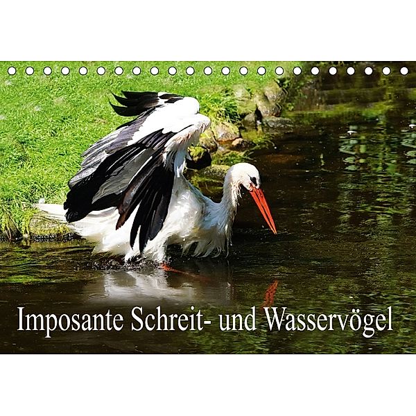 Imposante Schreit- und Wasservögel (Tischkalender 2018 DIN A5 quer), Erika Müller
