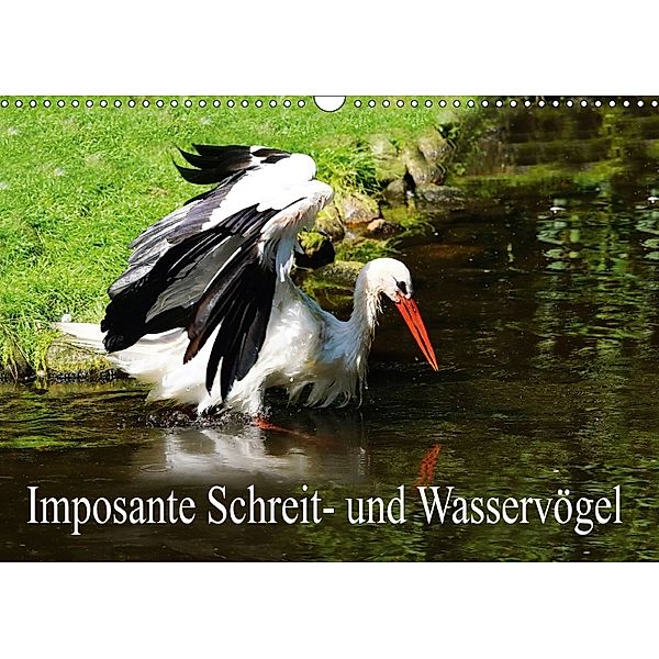Imposante Schreit- und Wasservögel (Wandkalender 2018 DIN A3 quer), Erika Müller