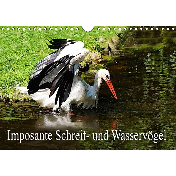 Imposante Schreit- und Wasservögel (Wandkalender 2021 DIN A4 quer), Erika Müller