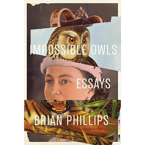 Impossible Owls, Brian Phillips