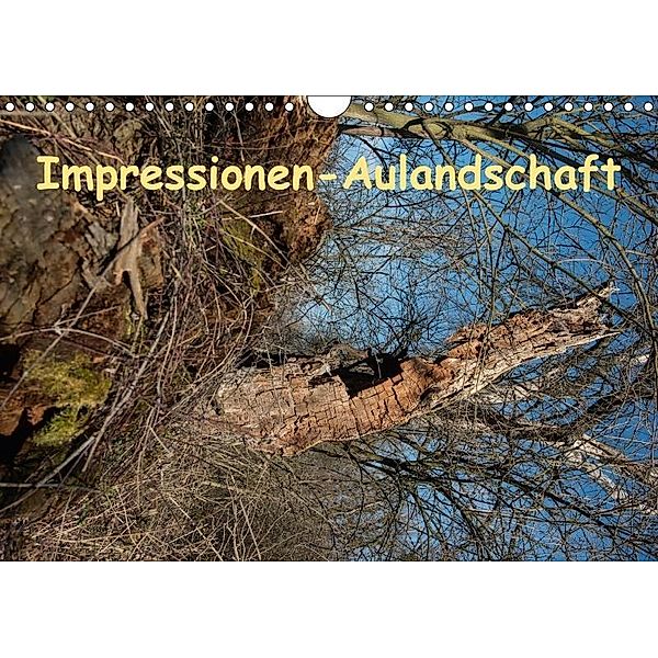 Impressionen-AulandschaftAT-Version (Wandkalender 2017 DIN A4 quer), Reinhard HEBAR