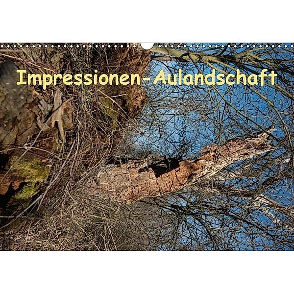 Impressionen-AulandschaftAT-Version (Wandkalender 2017 DIN A3 quer), Reinhard HEBAR