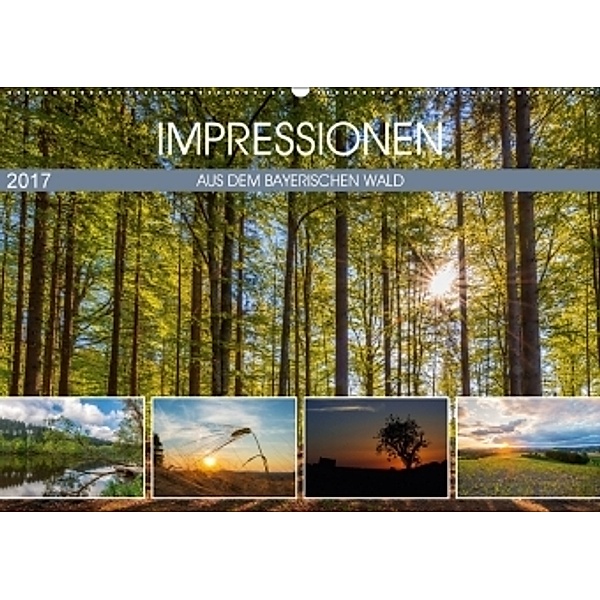 Impressionen aus dem Bayerischen Wald (Wandkalender 2017 DIN A2 quer), Christian Haidl