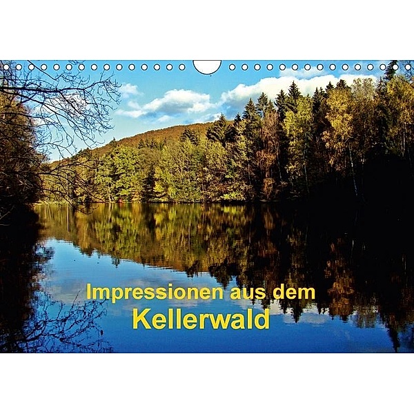 Impressionen aus dem Kellerwald (Wandkalender 2017 DIN A4 quer), Eva Busch