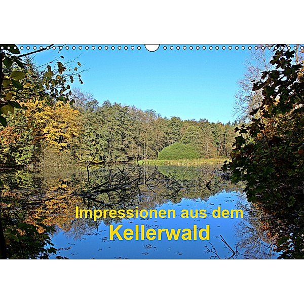 Impressionen aus dem Kellerwald (Wandkalender 2019 DIN A3 quer), Eva Busch